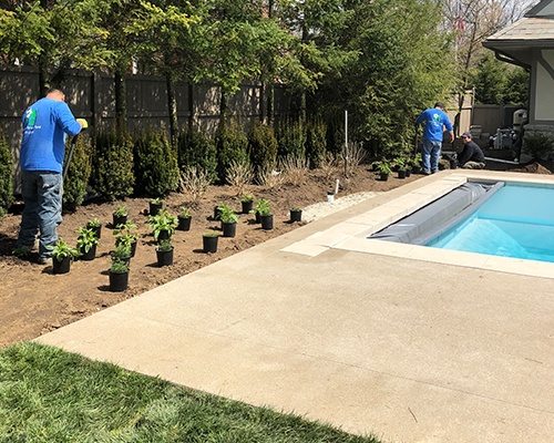Landscape Installation