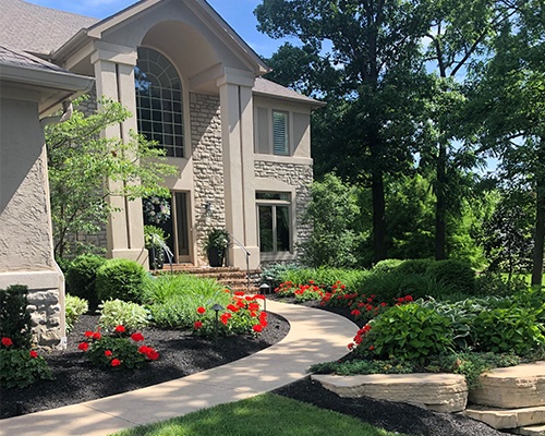 Landscape Design